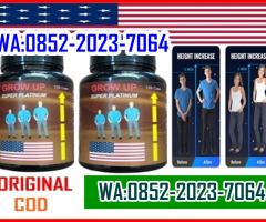 (WA*0852-2023-7064) JUAL OBAT PENINGGI BADAN GROW UP PLATINUM DI SEMARANG - 2